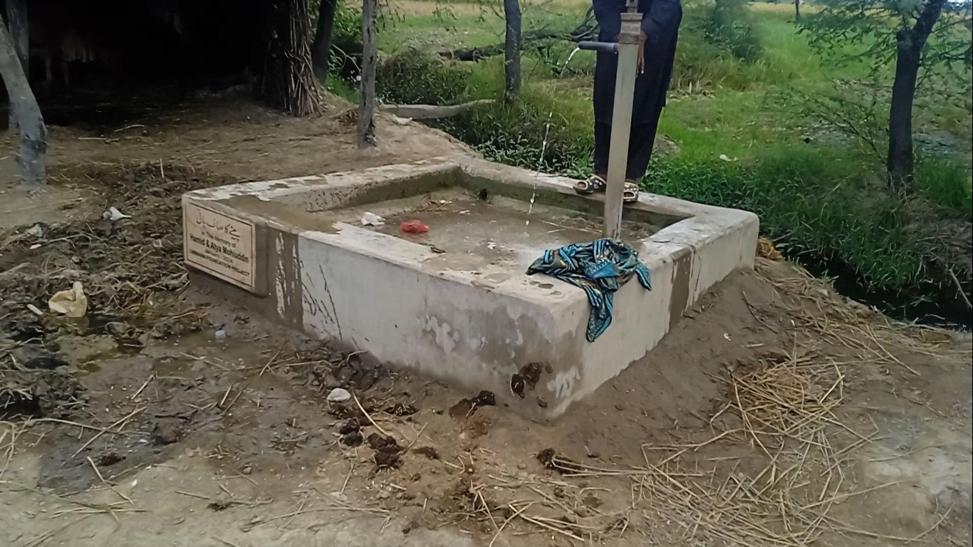 Water Well Plant image