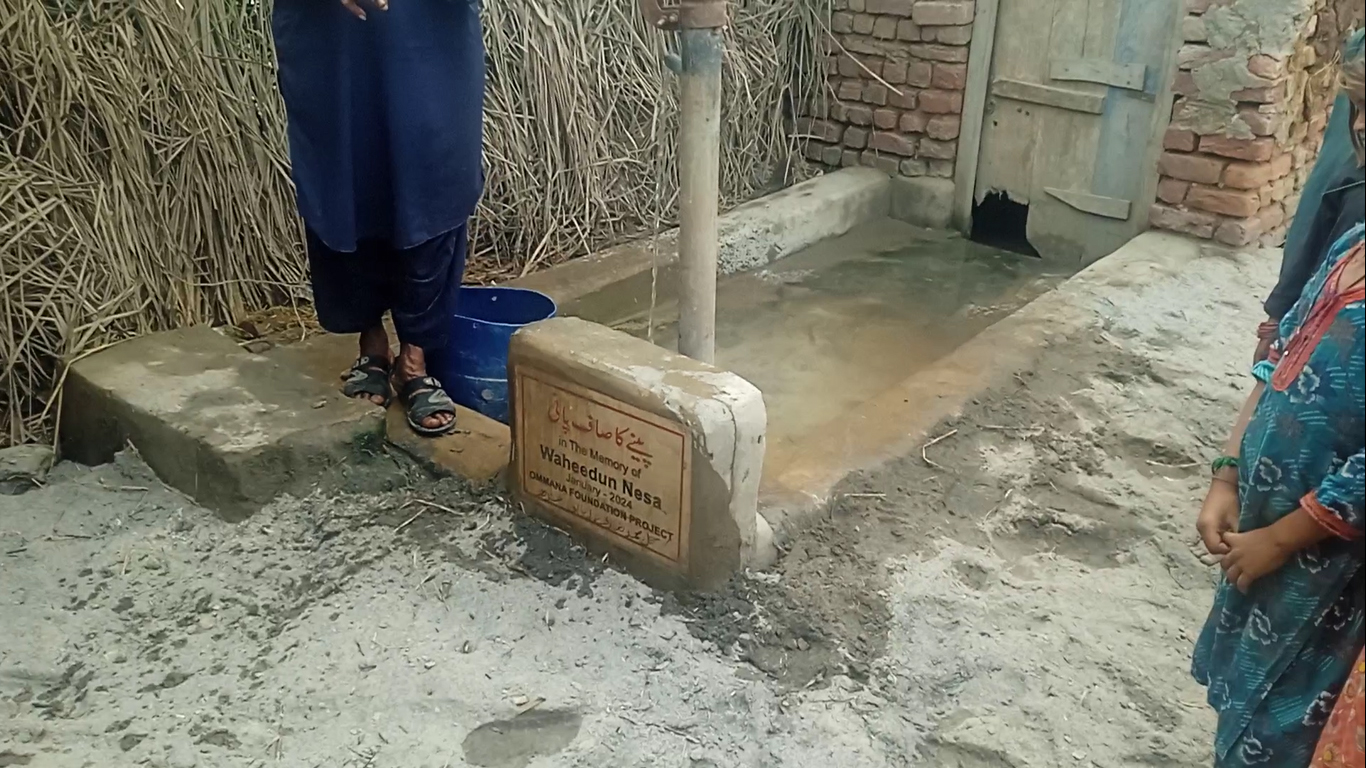 Water Well Plant image