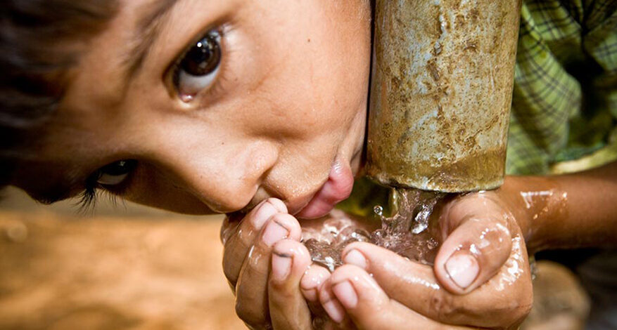 Creative Green Solutions blog9